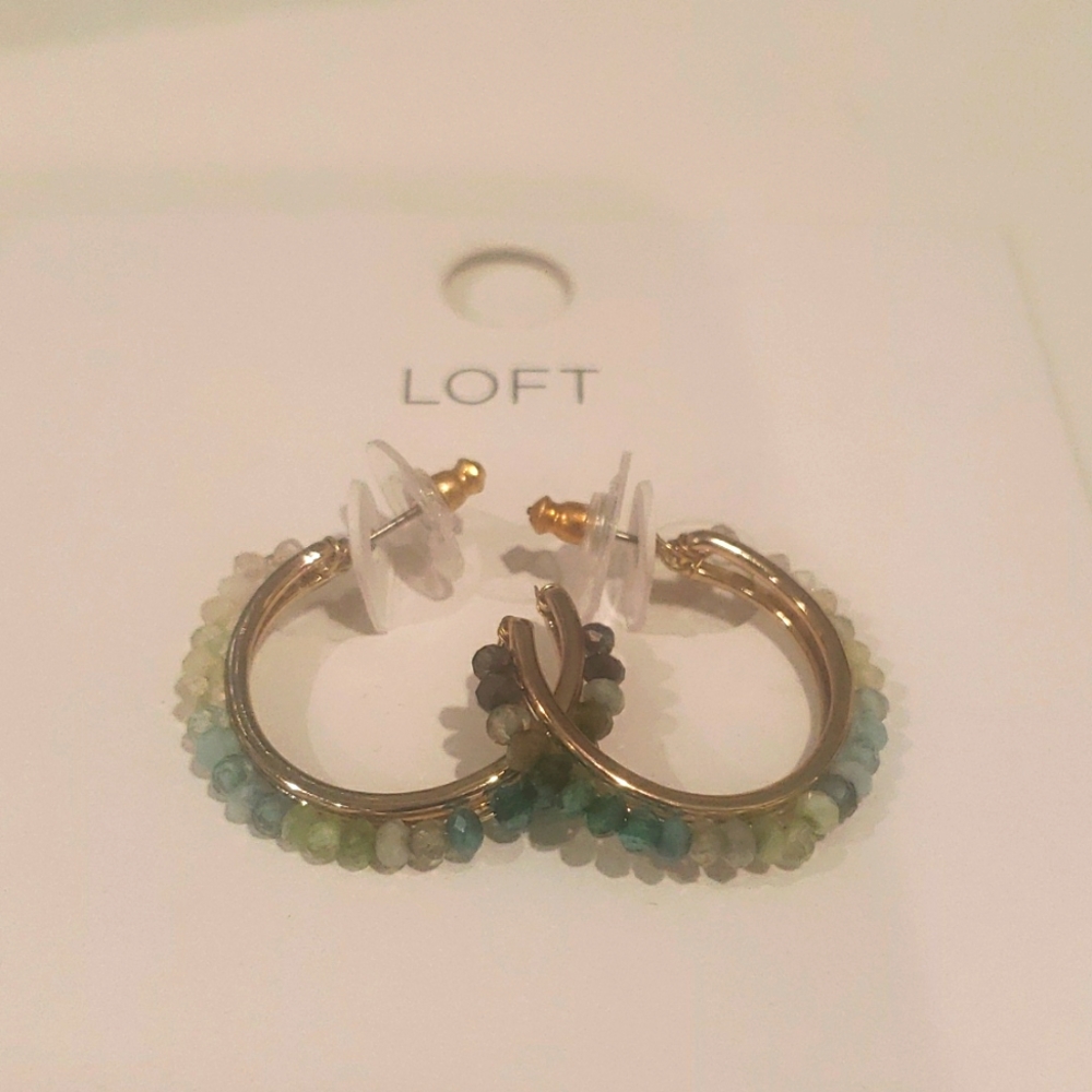 Green Loft Earnings